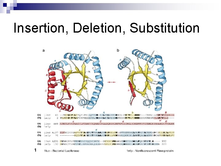 Insertion, Deletion, Substitution 
