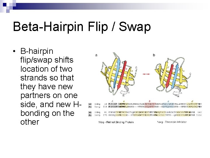 Beta-Hairpin Flip / Swap • Β-hairpin flip/swap shifts location of two strands so that