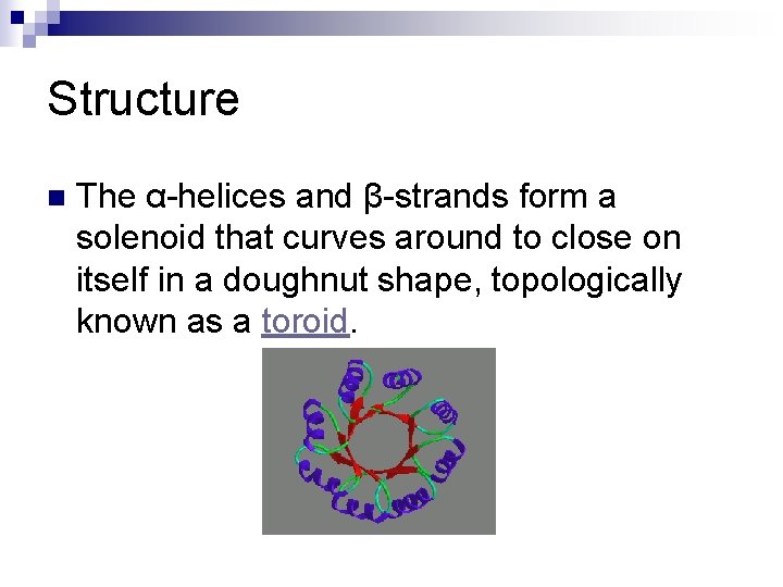 Structure n The α-helices and β-strands form a solenoid that curves around to close
