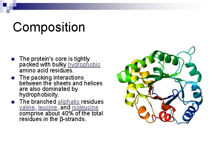 Composition n The protein's core is tightly packed with bulky hydrophobic amino acid residues.