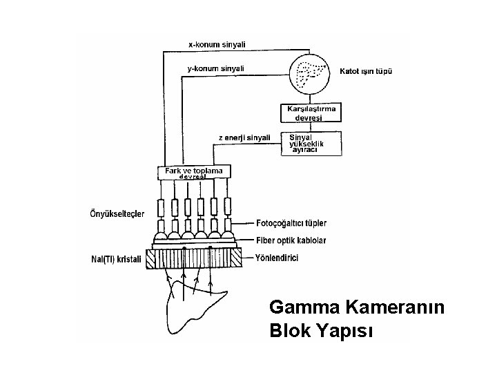 Gamma Kameranın Blok Yapısı 