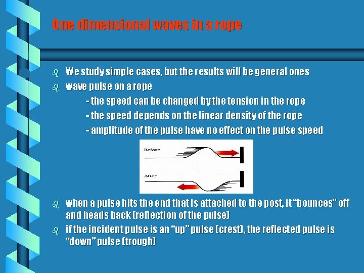 One dimensional waves in a rope b b We study simple cases, but the One dimensional waves in a rope b b We study simple cases, but the