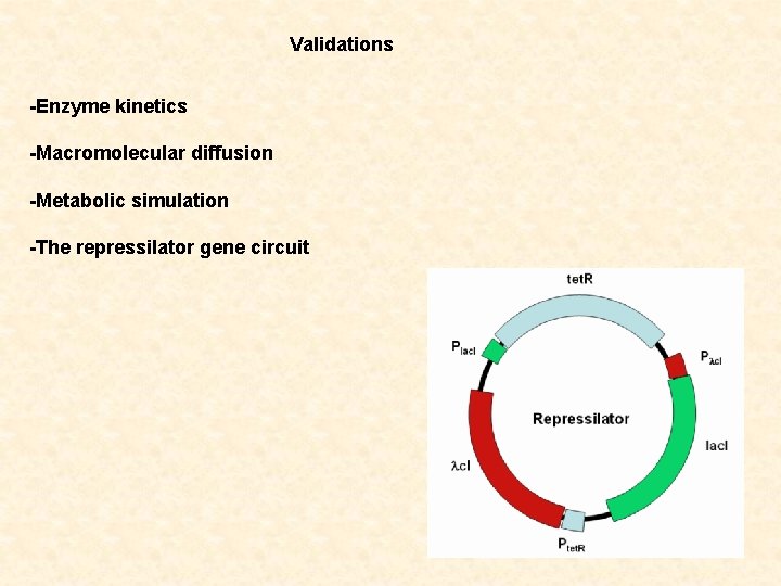 Validations -Enzyme kinetics -Macromolecular diffusion -Metabolic simulation -The repressilator gene circuit 