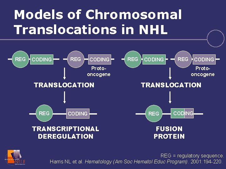 Models of Chromosomal Translocations in NHL REG CODING REG Protooncogene TRANSLOCATION REG CODING TRANSCRIPTIONAL