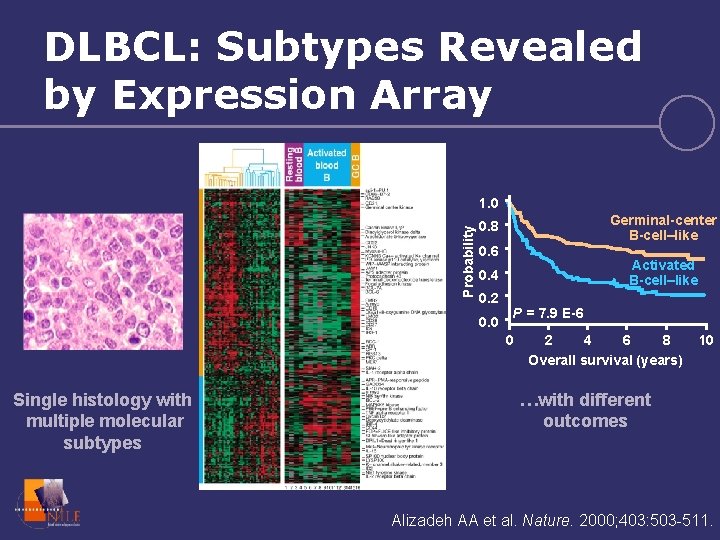 DLBCL: Subtypes Revealed by Expression Array Probability 1. 0 Germinal-center B-cell–like 0. 8 0.