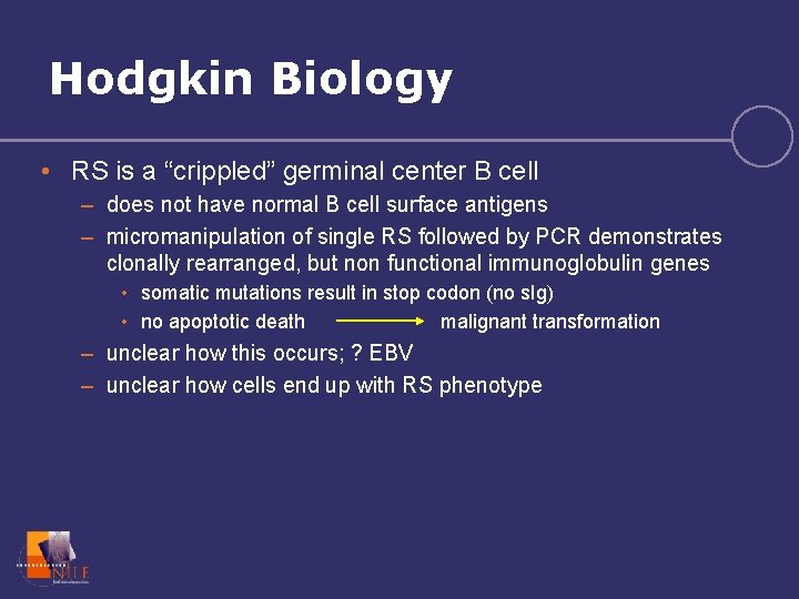 Hodgkin Biology • RS is a “crippled” germinal center B cell – does not
