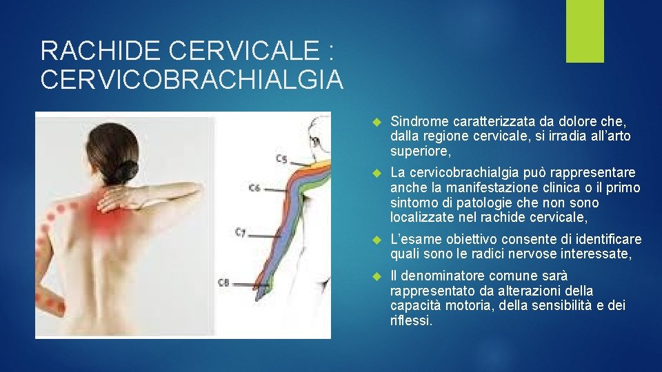 RACHIDE CERVICALE : CERVICOBRACHIALGIA Sindrome caratterizzata da dolore che, dalla regione cervicale, si irradia