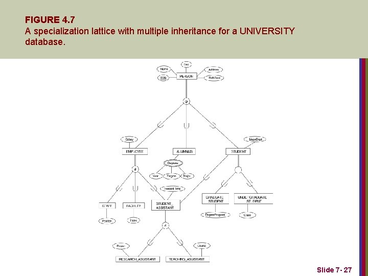 FIGURE 4. 7 A specialization lattice with multiple inheritance for a UNIVERSITY database. Slide