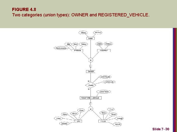 FIGURE 4. 8 Two categories (union types): OWNER and REGISTERED_VEHICLE. Slide 7 - 30