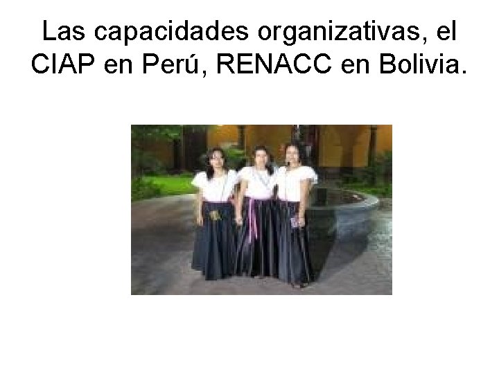 Las capacidades organizativas, el CIAP en Perú, RENACC en Bolivia. 