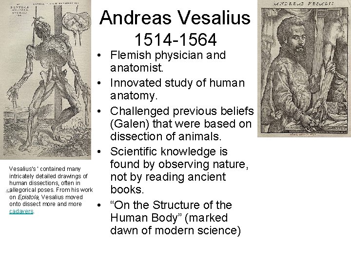 Andreas Vesalius 1514 -1564 • Flemish physician and anatomist. • Innovated study of human