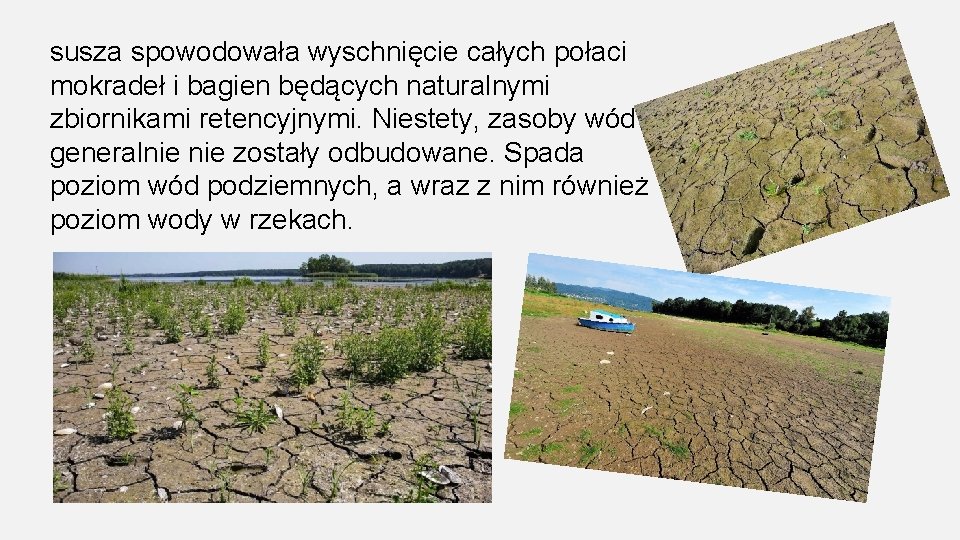 susza spowodowała wyschnięcie całych połaci mokradeł i bagien będących naturalnymi zbiornikami retencyjnymi. Niestety, zasoby