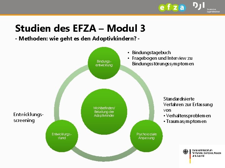 Studien des EFZA – Modul 3 - Methoden: wie geht es den Adoptivkindern? -