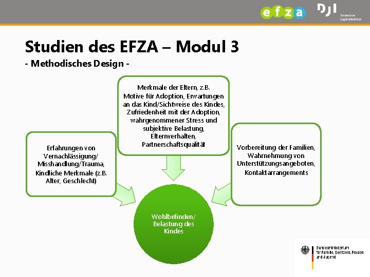 Studien des EFZA – Modul 3 - Methodisches Design - Erfahrungen von Vernachlässigung/ Misshandlung/Trauma,