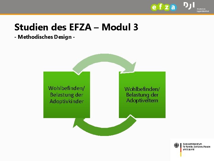 Studien des EFZA – Modul 3 - Methodisches Design - Wohlbefinden/ Belastung der Adoptivkinder