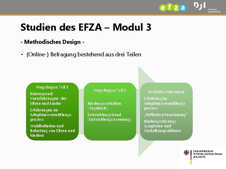 Studien des EFZA – Modul 3 - Methodisches Design - • (Online-) Befragung bestehend