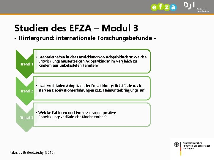 Studien des EFZA – Modul 3 - Hintergrund: internationale Forschungsbefunde - • Besonderheiten in