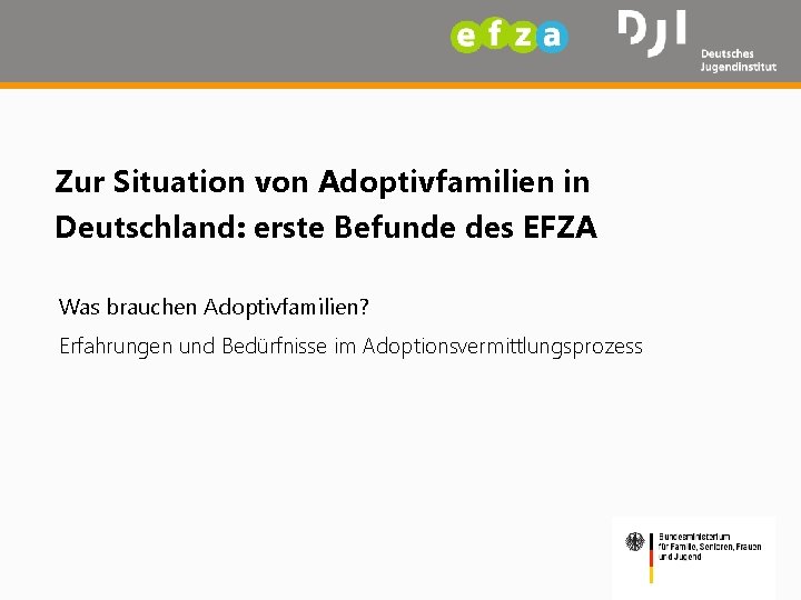 Zur Situation von Adoptivfamilien in Deutschland: erste Befunde des EFZA Was brauchen Adoptivfamilien? Erfahrungen