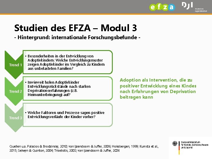 Studien des EFZA – Modul 3 - Hintergrund: internationale Forschungsbefunde • Besonderheiten in der