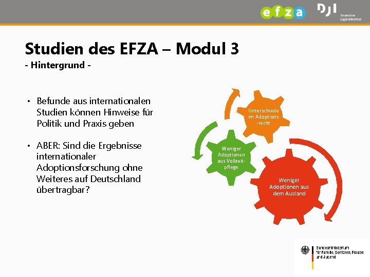 Studien des EFZA – Modul 3 - Hintergrund - • Befunde aus internationalen Studien