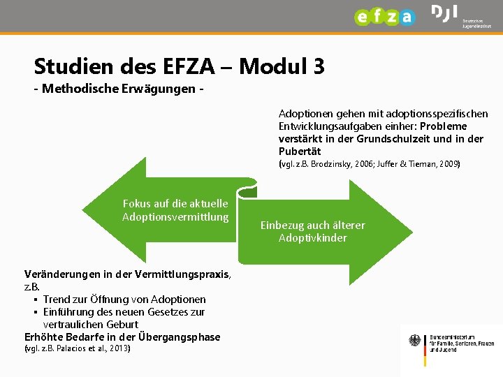 Studien des EFZA – Modul 3 - Methodische Erwägungen - Adoptionen gehen mit adoptionsspezifischen
