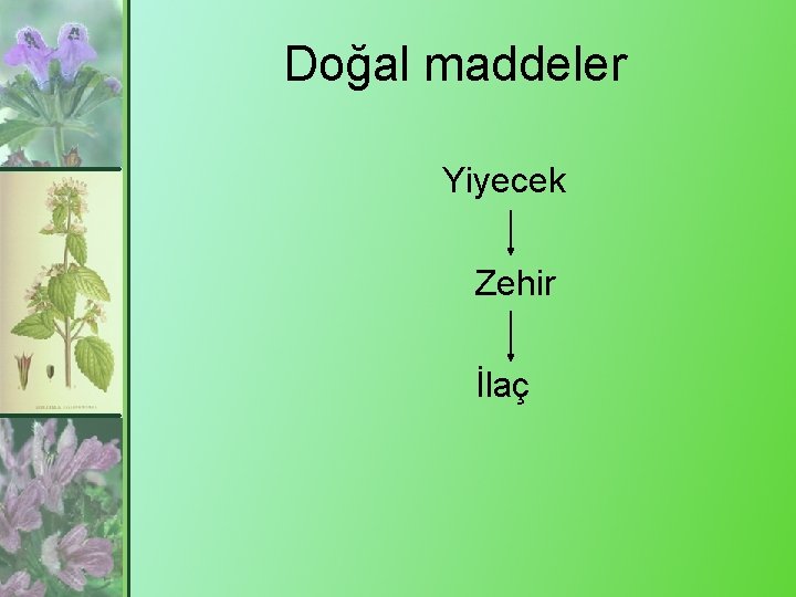 Doğal maddeler Yiyecek Zehir İlaç 