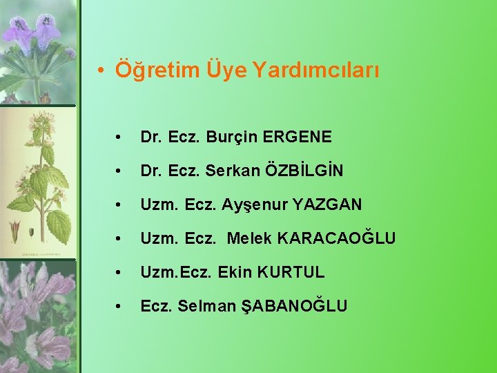  • Öğretim Üye Yardımcıları • Dr. Ecz. Burçin ERGENE • Dr. Ecz. Serkan