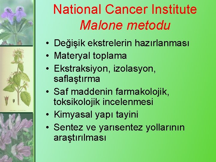 National Cancer Institute Malone metodu • Değişik ekstrelerin hazırlanması • Materyal toplama • Ekstraksiyon,