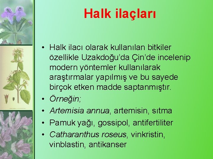 Halk ilaçları • Halk ilacı olarak kullanılan bitkiler özellikle Uzakdoğu’da Çin’de incelenip modern yöntemler