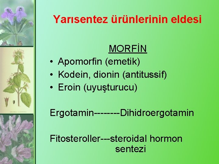 Yarısentez ürünlerinin eldesi MORFİN • Apomorfin (emetik) • Kodein, dionin (antitussif) • Eroin (uyuşturucu)