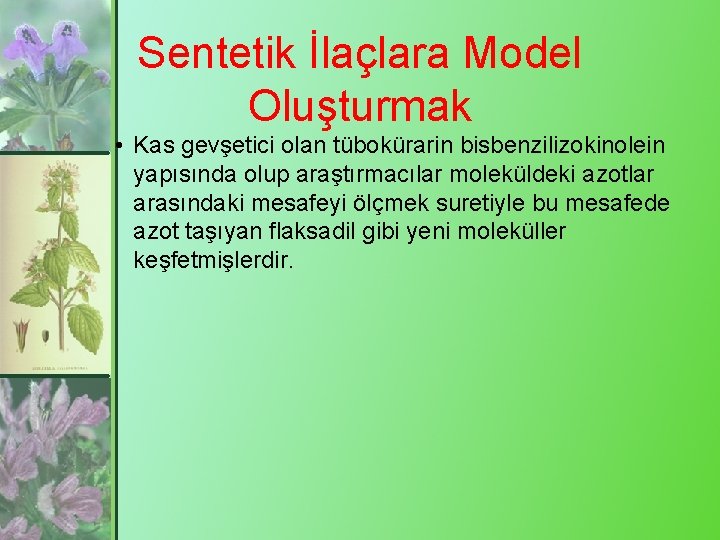 Sentetik İlaçlara Model Oluşturmak • Kas gevşetici olan tübokürarin bisbenzilizokinolein yapısında olup araştırmacılar moleküldeki