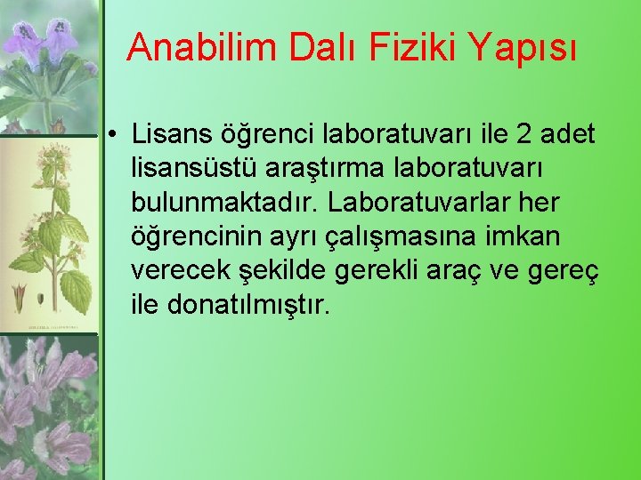 Anabilim Dalı Fiziki Yapısı • Lisans öğrenci laboratuvarı ile 2 adet lisansüstü araştırma laboratuvarı