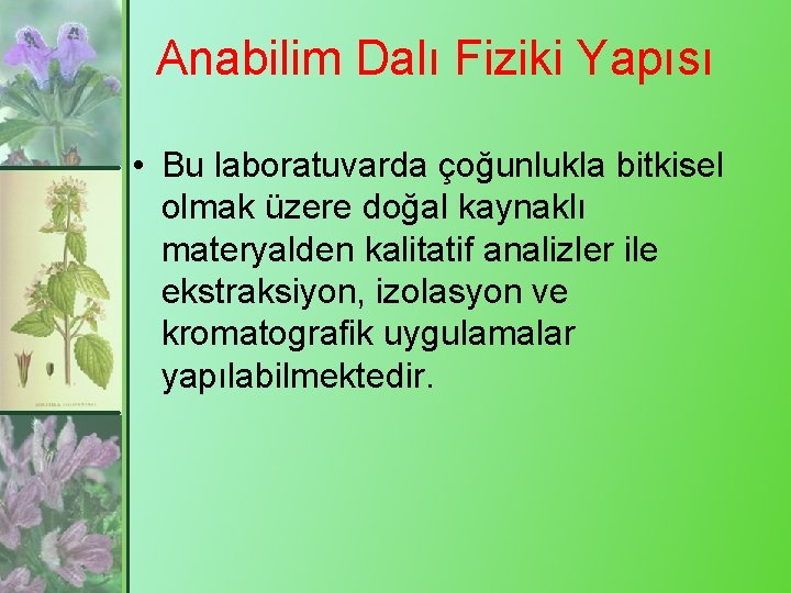 Anabilim Dalı Fiziki Yapısı • Bu laboratuvarda çoğunlukla bitkisel olmak üzere doğal kaynaklı materyalden