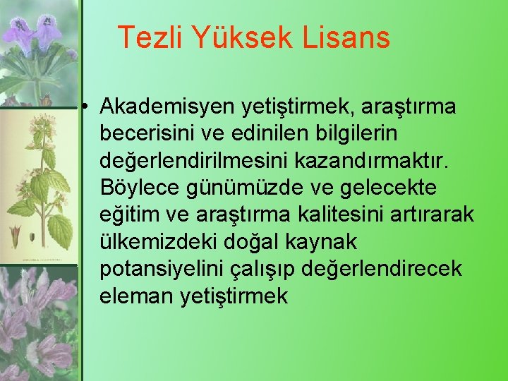 Tezli Yüksek Lisans • Akademisyen yetiştirmek, araştırma becerisini ve edinilen bilgilerin değerlendirilmesini kazandırmaktır. Böylece