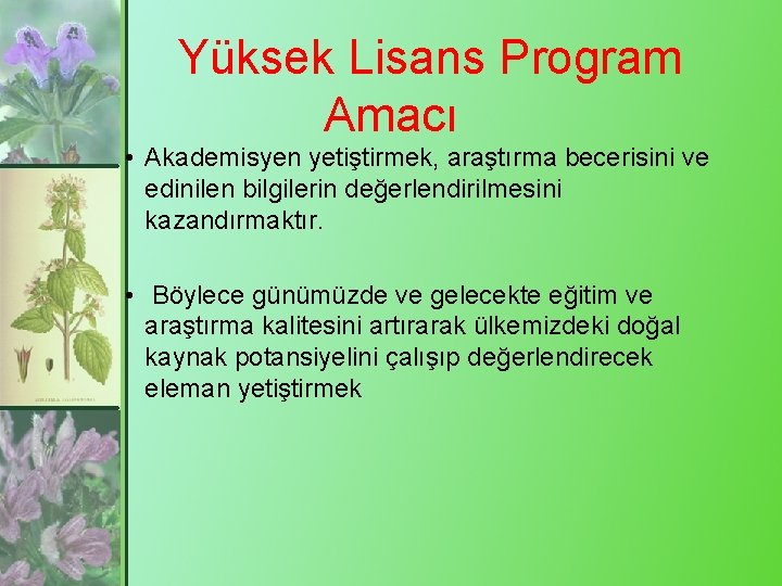 Yüksek Lisans Program Amacı • Akademisyen yetiştirmek, araştırma becerisini ve edinilen bilgilerin değerlendirilmesini kazandırmaktır.