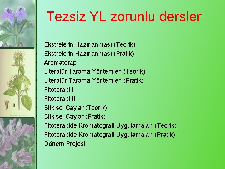 Tezsiz YL zorunlu dersler • • • Ekstrelerin Hazırlanması (Teorik) Ekstrelerin Hazırlanması (Pratik) Aromaterapi