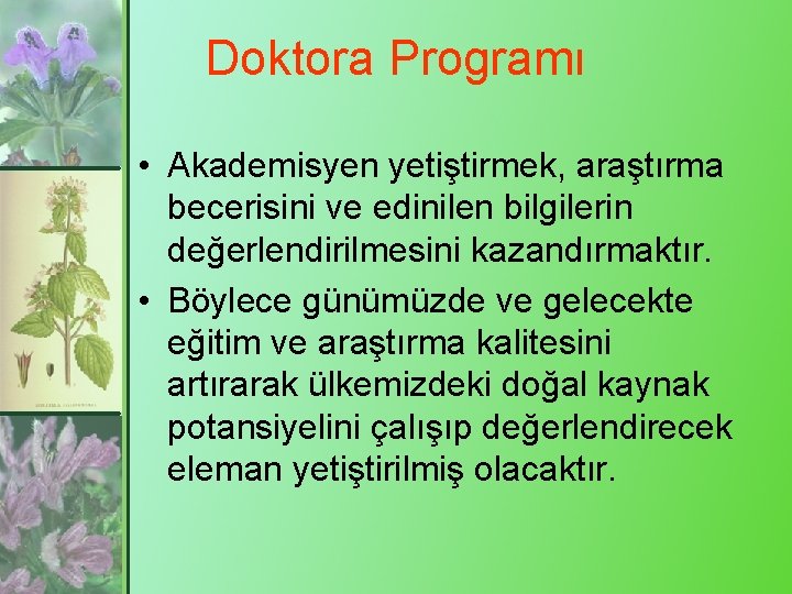 Doktora Programı • Akademisyen yetiştirmek, araştırma becerisini ve edinilen bilgilerin değerlendirilmesini kazandırmaktır. • Böylece