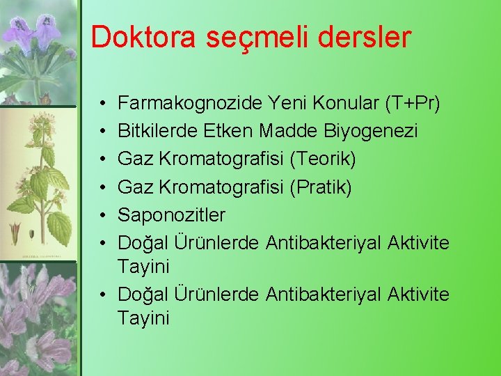 Doktora seçmeli dersler • • • Farmakognozide Yeni Konular (T+Pr) Bitkilerde Etken Madde Biyogenezi