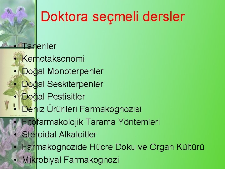 Doktora seçmeli dersler • • • Tanenler Kemotaksonomi Doğal Monoterpenler Doğal Seskiterpenler Doğal Pestisitler