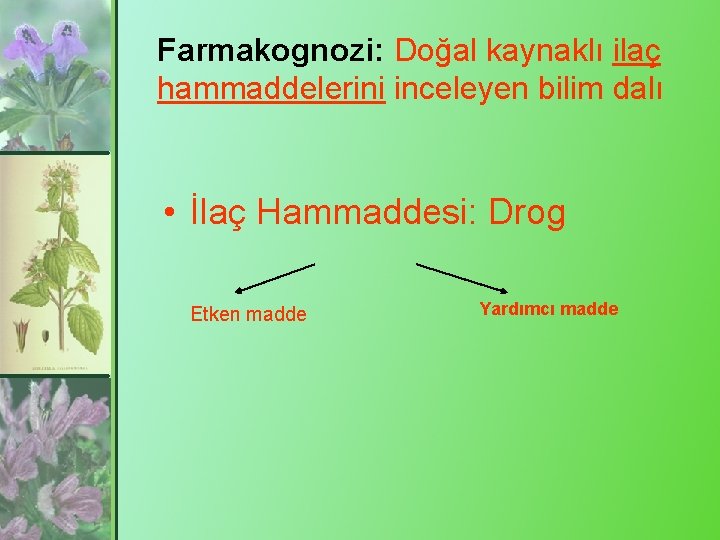 Farmakognozi: Doğal kaynaklı ilaç hammaddelerini inceleyen bilim dalı • İlaç Hammaddesi: Drog Etken madde