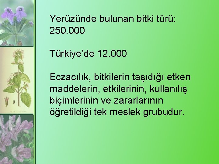 Yerüzünde bulunan bitki türü: 250. 000 Türkiye’de 12. 000 Eczacılık, bitkilerin taşıdığı etken maddelerin,