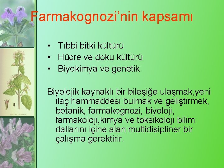 Farmakognozi’nin kapsamı • Tıbbi bitki kültürü • Hücre ve doku kültürü • Biyokimya ve