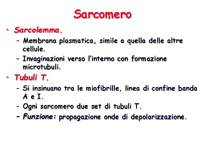 Sarcomero • Sarcolemma. – Membrana plasmatica, simile a quella delle altre cellule. – Invaginazioni