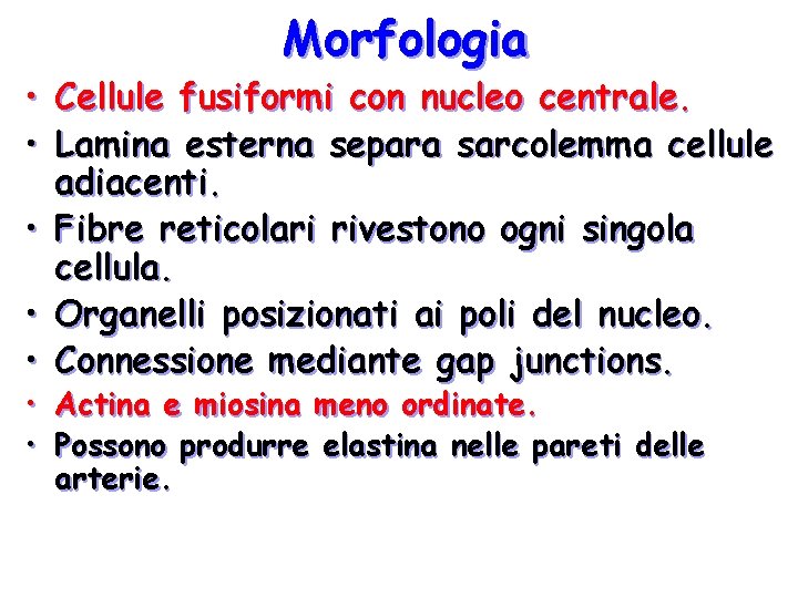 Morfologia • Cellule fusiformi con nucleo centrale. • Lamina esterna separa sarcolemma cellule adiacenti. Morfologia • Cellule fusiformi con nucleo centrale. • Lamina esterna separa sarcolemma cellule adiacenti.