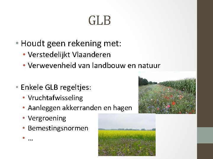 GLB • Houdt geen rekening met: • Verstedelijkt Vlaanderen • Verwevenheid van landbouw en