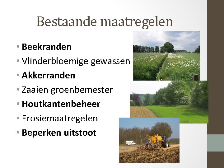 Bestaande maatregelen • Beekranden • Vlinderbloemige gewassen • Akkerranden • Zaaien groenbemester • Houtkantenbeheer