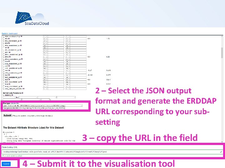 2 – Select the JSON output format and generate the ERDDAP URL corresponding to