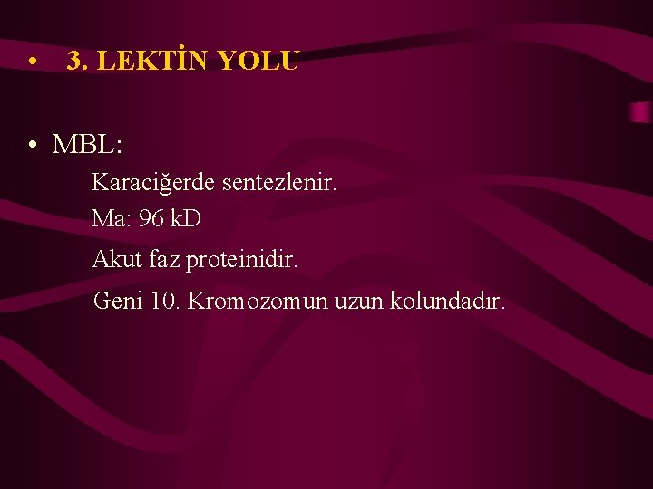  • 3. LEKTİN YOLU • MBL: Karaciğerde sentezlenir. Ma: 96 k. D Akut