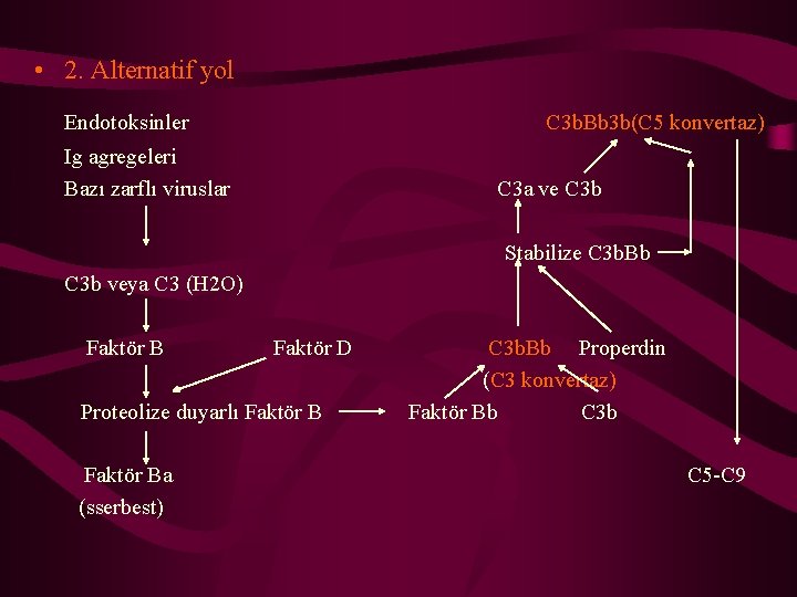  • 2. Alternatif yol Endotoksinler C 3 b. Bb 3 b(C 5 konvertaz)