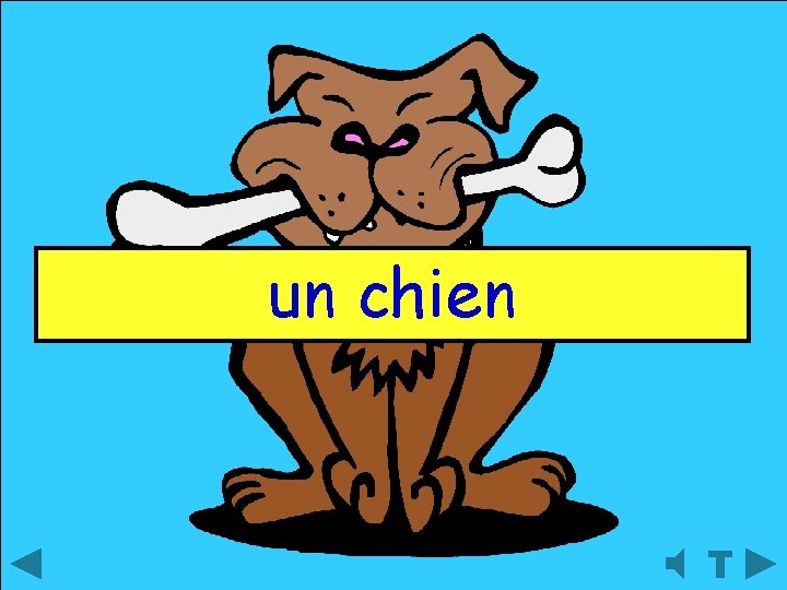 un chien 